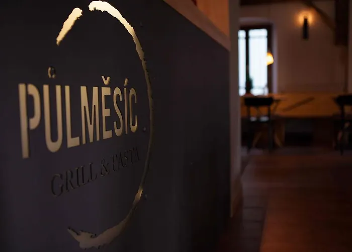 Πανσιόν Pulmesic